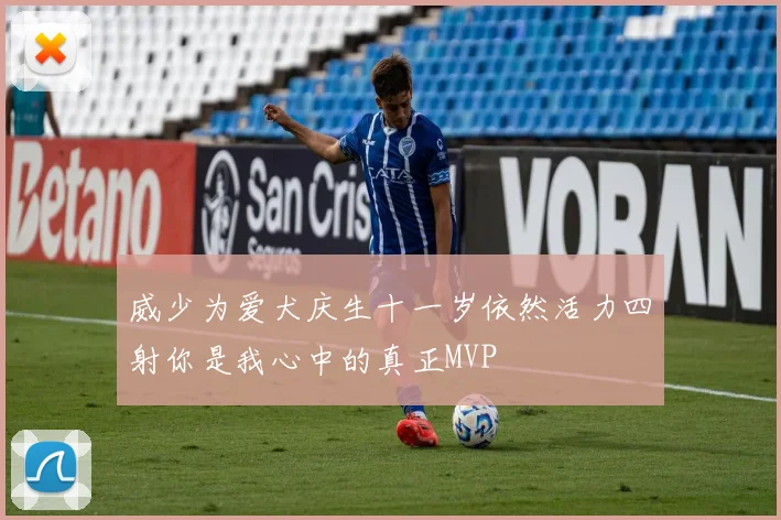 威少为爱犬庆生十一岁依然活力四射你是我心中的真正MVP