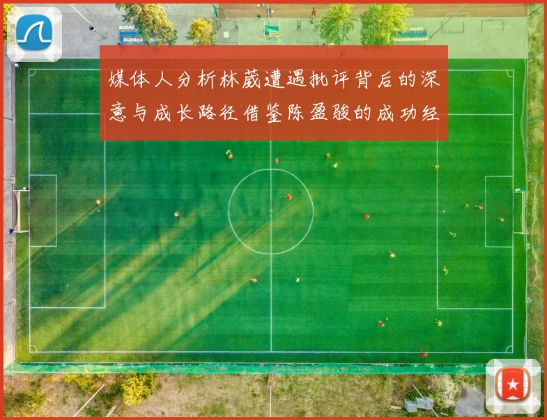 媒体人分析林葳遭遇批评背后的深意与成长路径借鉴陈盈骏的成功经验
